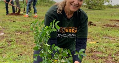 Nova Acrópole celebrou Semana da Terra 2025